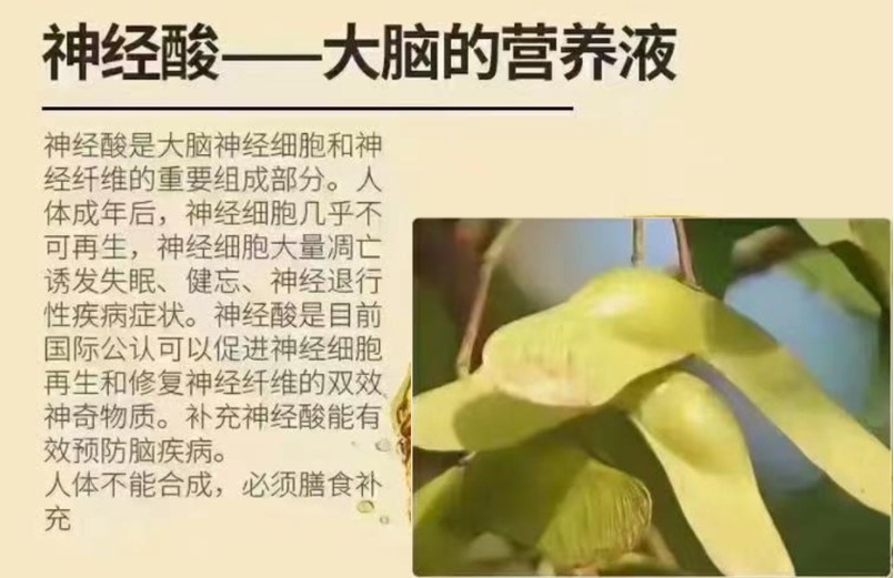 微信截图_20240807154601.png1.png